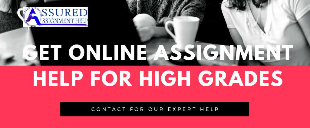 Marketing Strategy and Plan Assignment