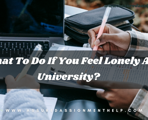 Investment and Portfolio Management