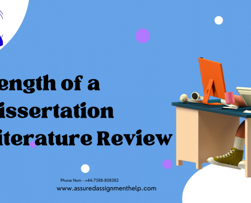 HI5029 - IS Project Management