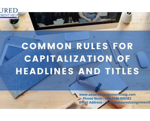 Fan‘s Cosplay Culture & Identity Research Proposal