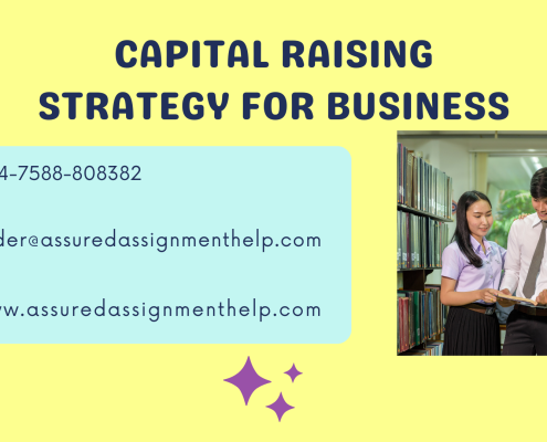 CAPITAL RAISING STRATEGY FOR BUSINESS