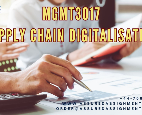 MGMT3017 Supply Chain Digitalisation