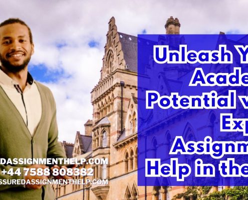 Unleash Your Academic Potential with Expert Assignment Help in the UK